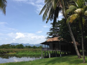 Die idyllische Landschaft auf Langkawi