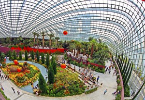 Der Flower Dome in Singapur