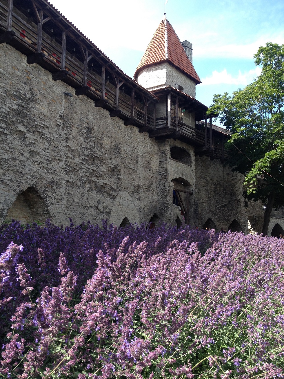 Reise durch die Zeit: vorbei an den historischen Stadtmauern in Tallinn