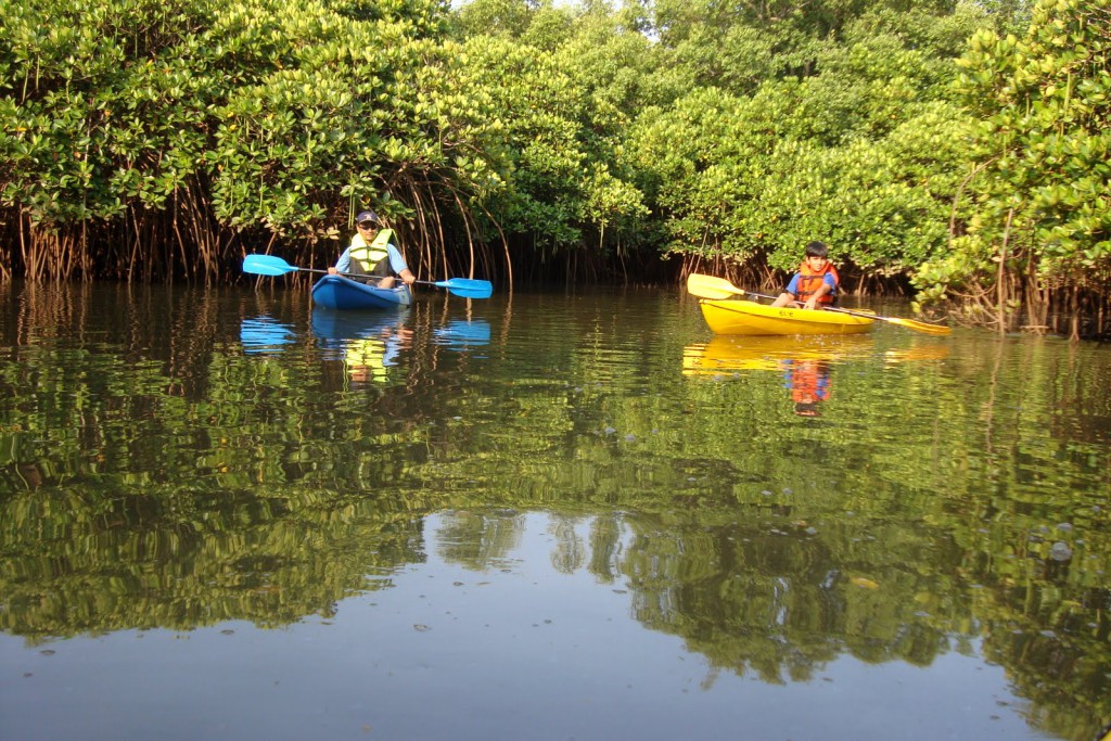 Mein Schiff Ausflug: Kayaking auf dem Sal-Fluss