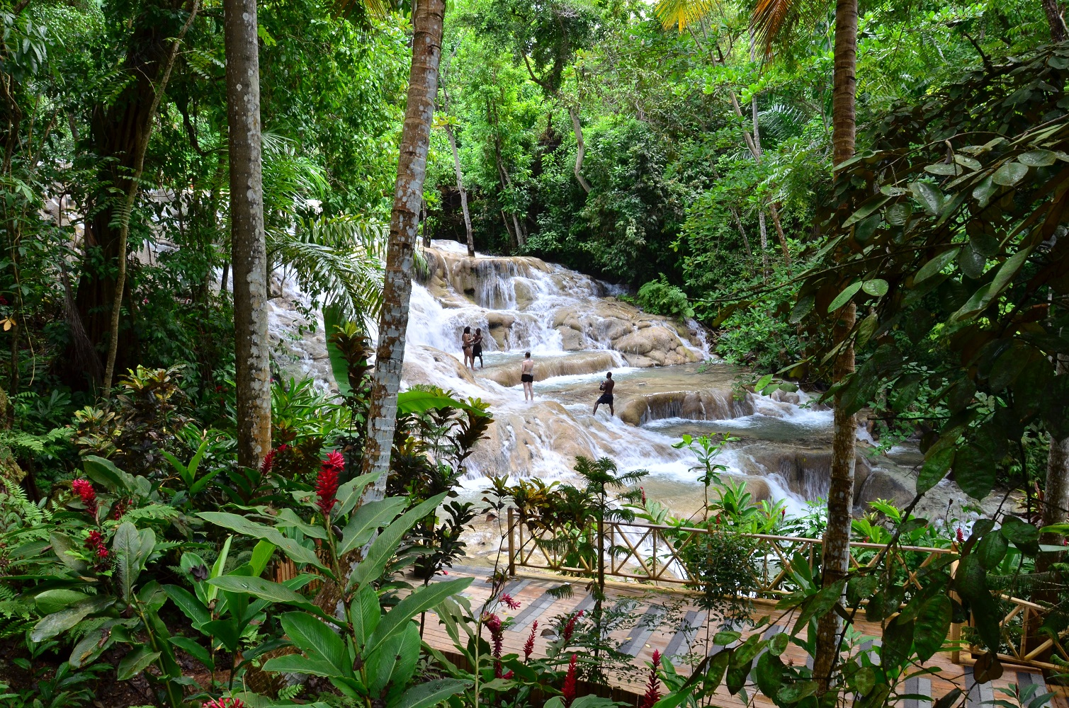 Dunn's River Falls - Ocho Rios - Jamaika